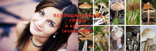 MDMA Горнозаводск