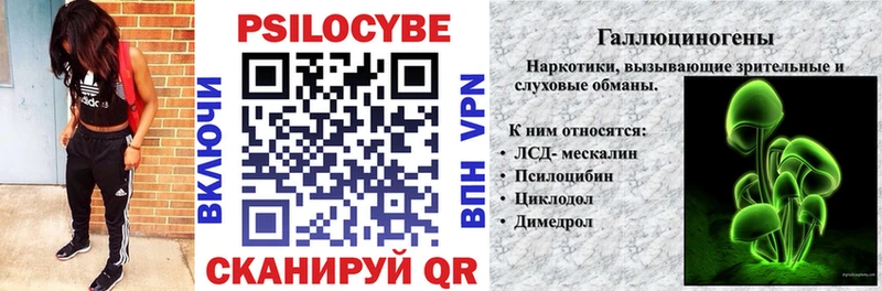 Галлюциногенные грибы прущие грибы нарко площадка какой сайт Благовещенск